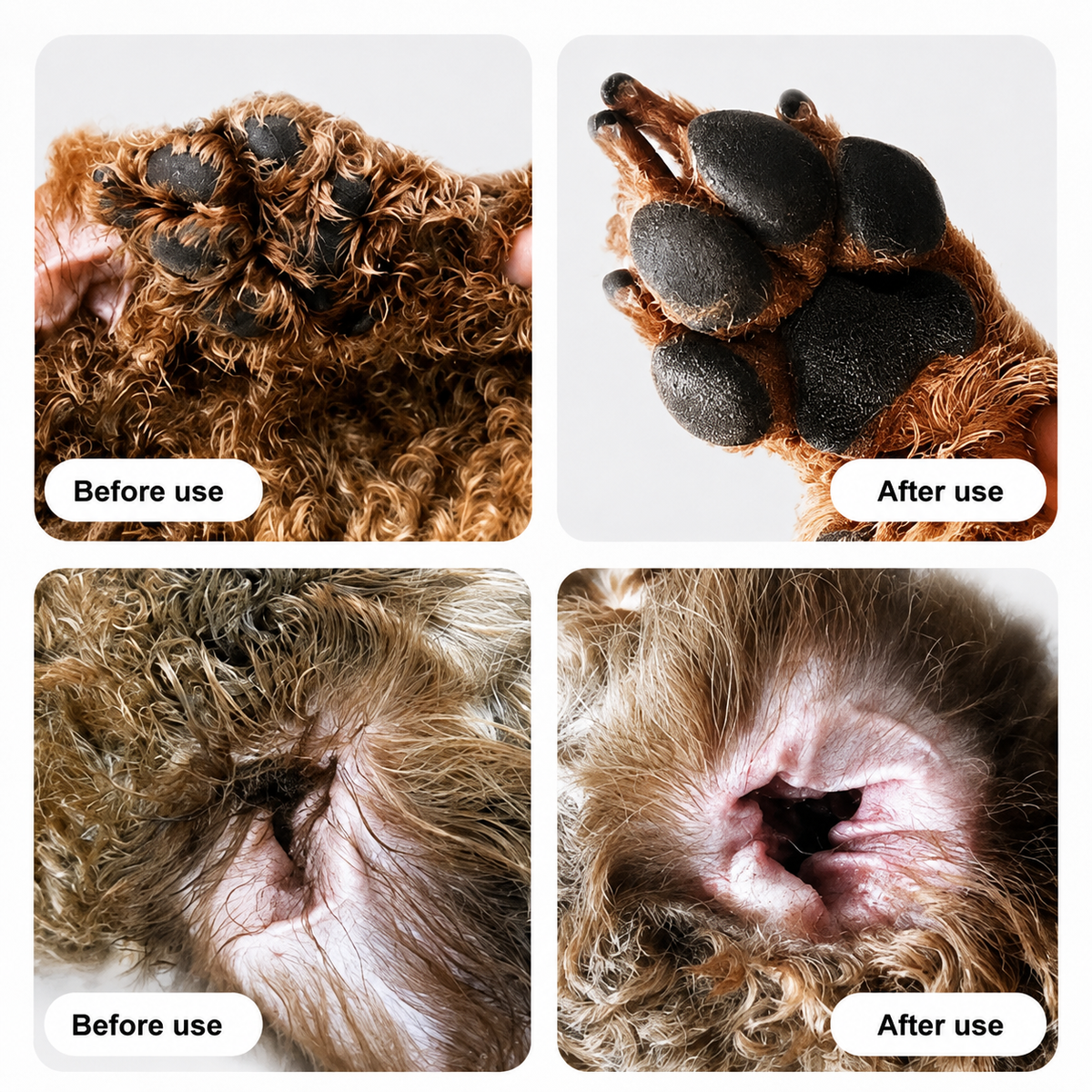 Precision Pet Paw Hair Trimmer with LED