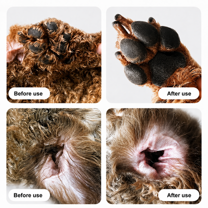 Precision Pet Paw Hair Trimmer with LED
